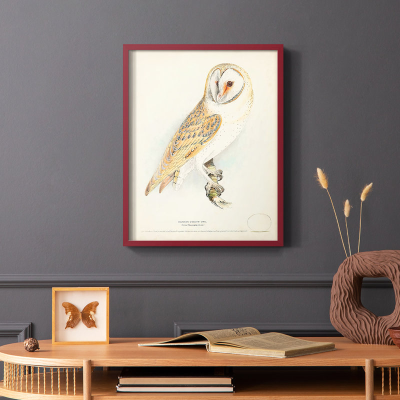 Barn Owl Framed Print - Solid Wood, Red, 10" H x 8" W