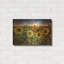 «Aroostook Sunsetre» par Rick Berk-709769796