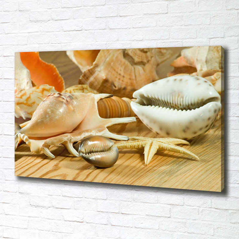 Shells On Wood - Wrapped Canvas Print