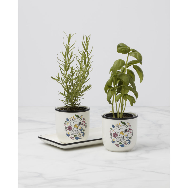Ensemble de 3 pots à herbes et plateau Lenox Chef Snoopy