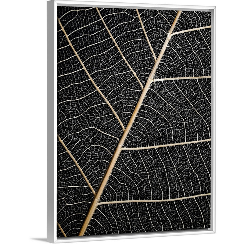 Feuilles de feuilles, art mural, H 18 po x l 14 po, Toile avec cadre blanc