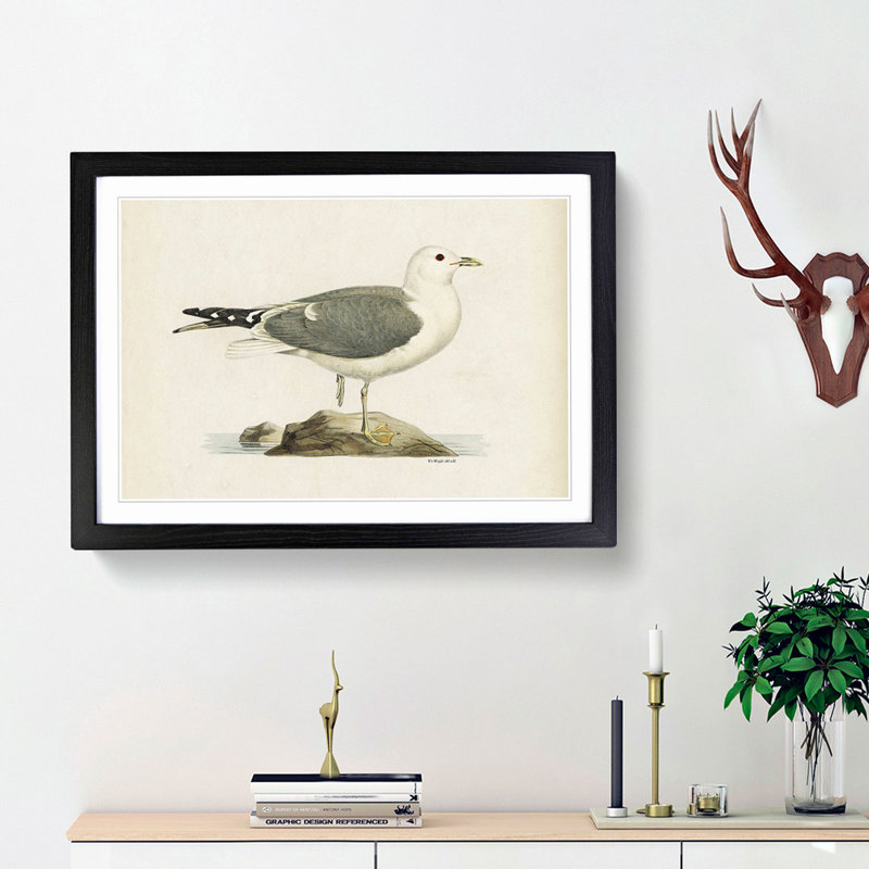 A Common Gull by Von Wright - Single Picture Frame Painting, Black Framed, 45cm H x 63cm W x 2cm D