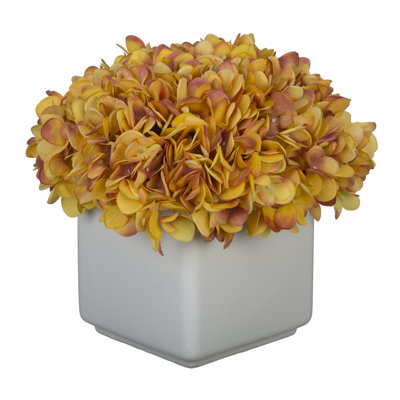 Hydrangea Arrangement