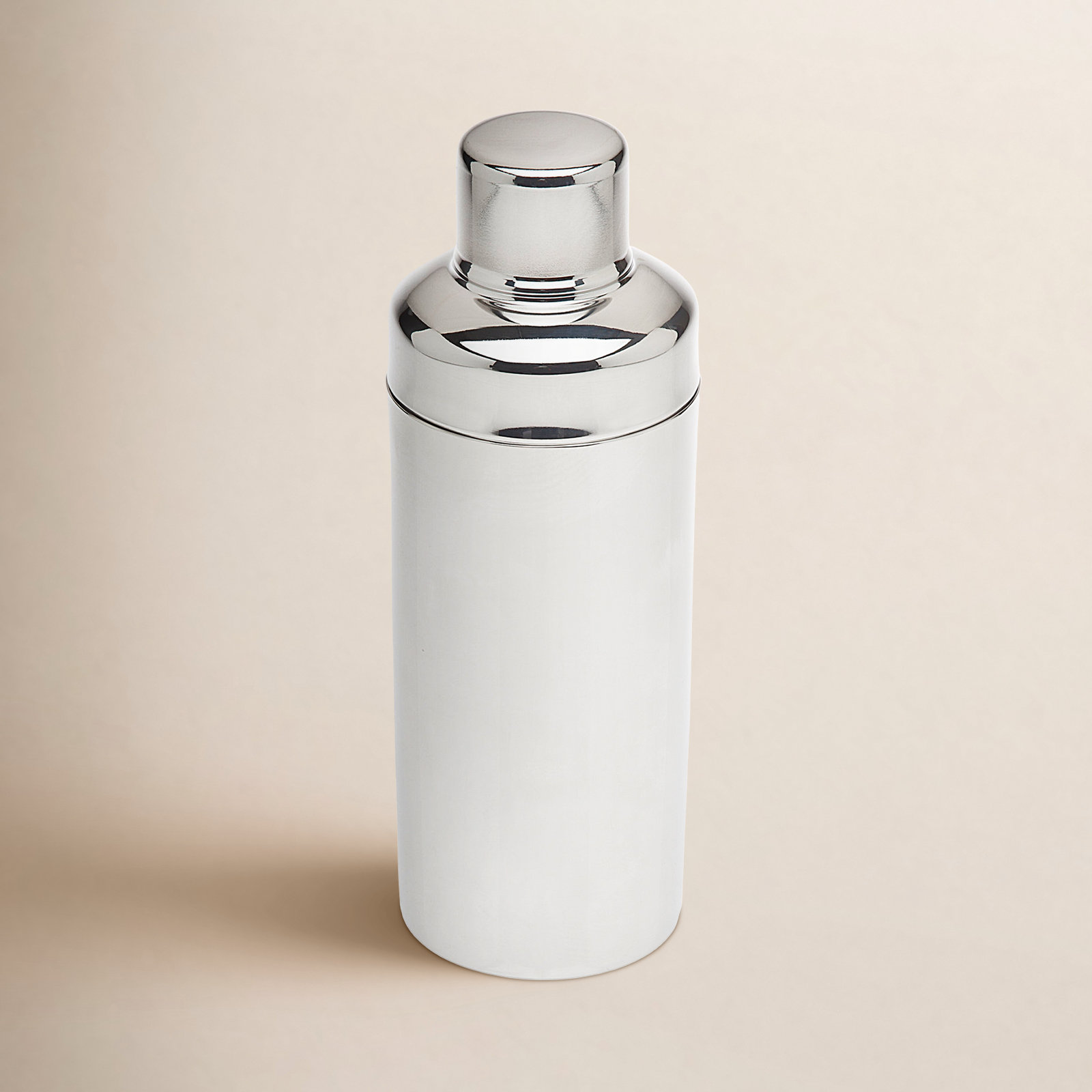 Stainless Steel Shaker