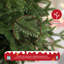 Arbre de Noël en épinette éclairé, arbre de Noël artificiel, 950 pointes, support en métal et branches à charnières pour la fête au bureau à domicile-1699667851-1699667852
