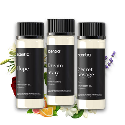 Perfume-inspired Essential Oil Set – 3×20 Ml Diffuser Oils With Floral & Woody Notes | Designer Fragrance Blends For Home, Spa & Aromatherapy - Thanksgiving & Holiday Gift | Inspired By Iconic Perfumes, Aromatherapy Waterless Diffusers, Humidifiers