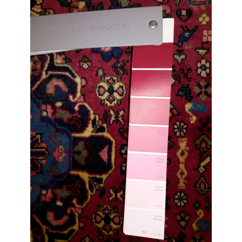 Onerva Cotton Oriental Area Rug in Red