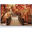 Arenda " Autumn Bridge "-346972754-346972746-293921277