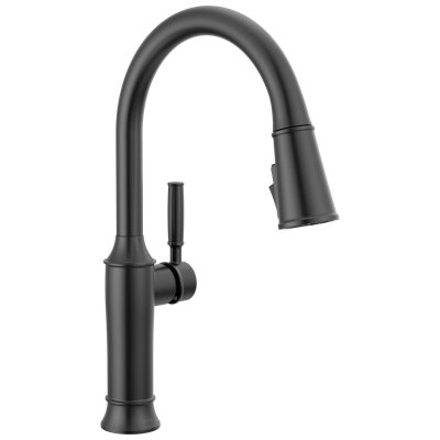 Robinet d'évier de cuisine à bec rétractable à poignée simple Renaldi ProClean