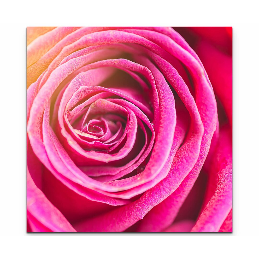 Leinwandbild Rose – Nahaufnahme