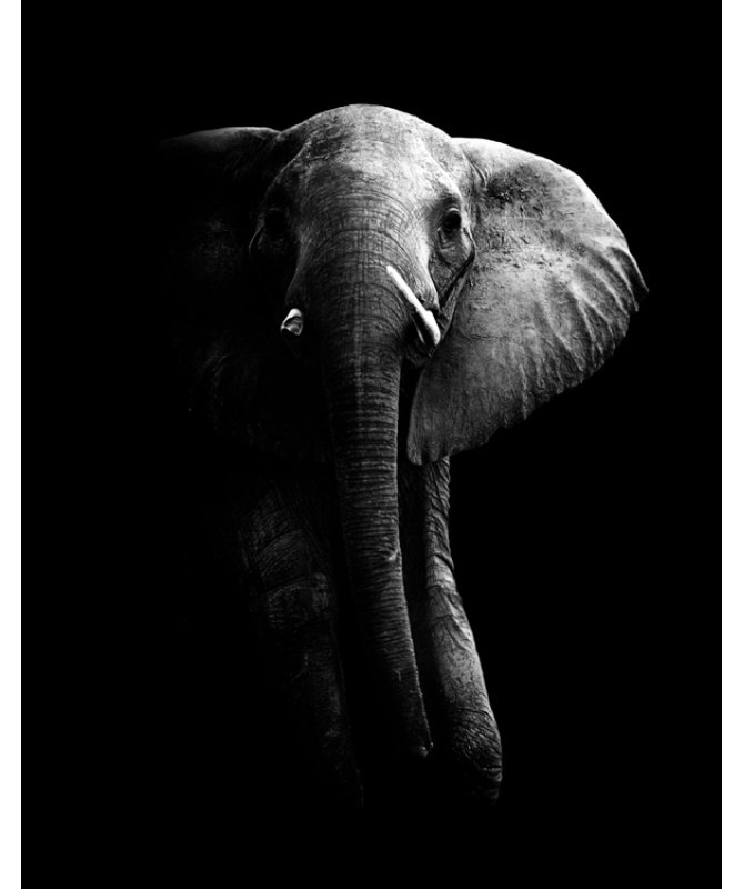 Wrapped Canvas Print, 60.96 cm H x 91.44 cm W