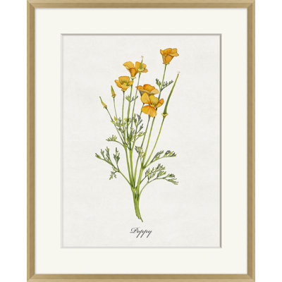Valley Wildflower Poppy Print by Nathan Turner