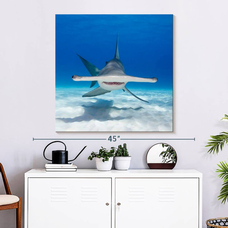 Brampt Hammerhead Shark Swimming, 33" H x 33" W