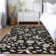 Machine Washable Indoor/Outdoor Chayden ACN1006 Black Rug