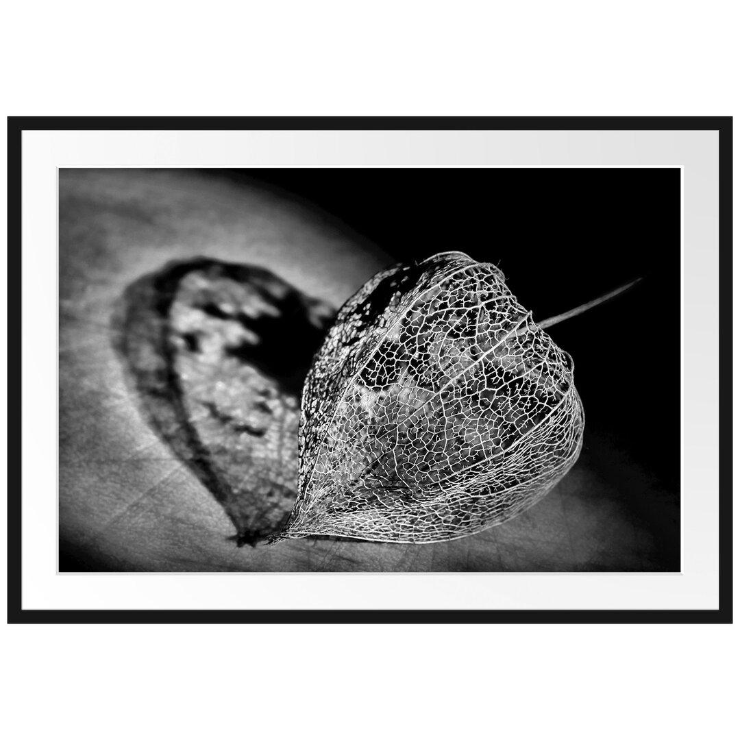 Gerahmtes Poster Schatten einer Physalis