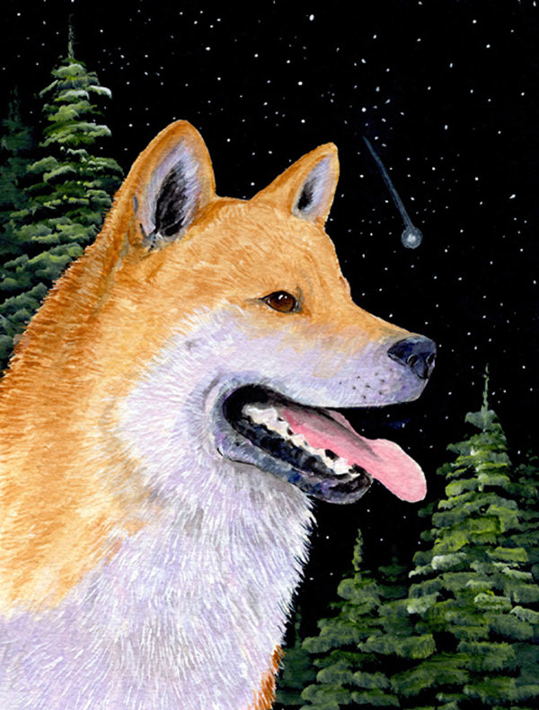 Drapeau de jardin 2 côtés shiba shiba