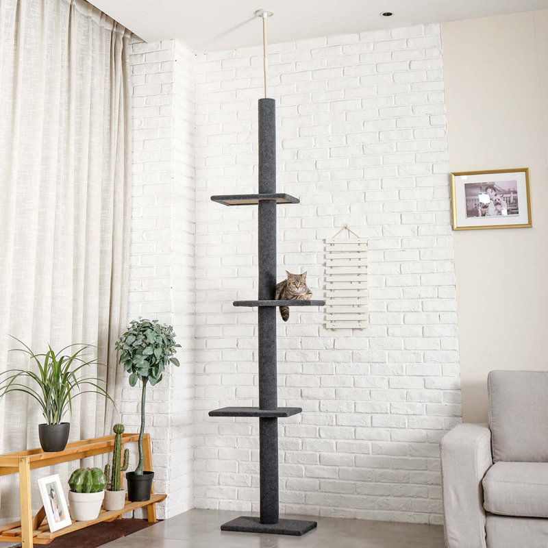 Arbre à chat à 3 niveaux pour grimper, gratter et jouer avec une structure stable et plusieurs niveaux, Noir