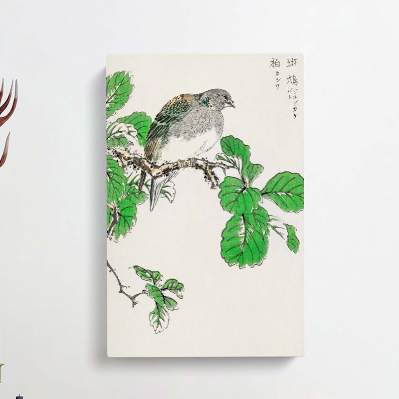 Barbary Dove And Oak Tree by Numata Kashu - Wrapped Canvas Painting, 60cm H x 40cm W x 3cm D