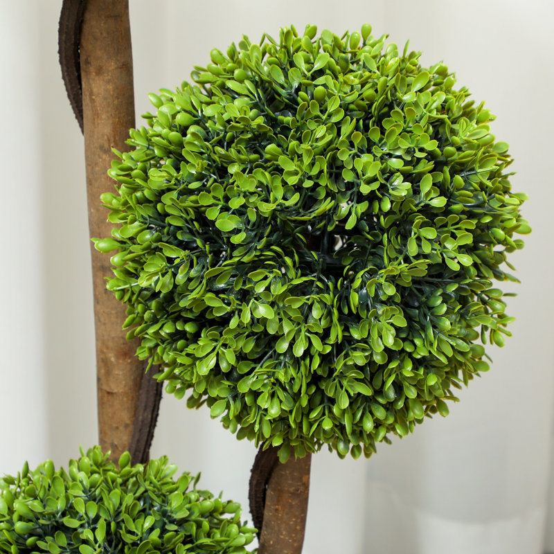 90cm Plant