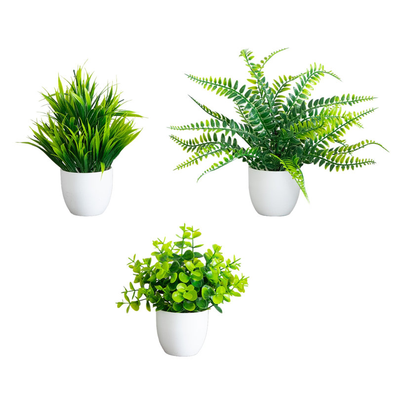 7 po Ensemble de 3 plantes à feuilles persistantes artificielles en pot rond blanc