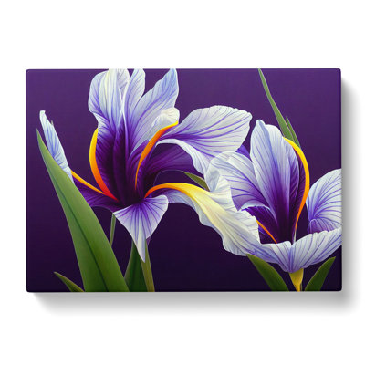 Enigmatic Iris Flowers - Wrapped Canvas