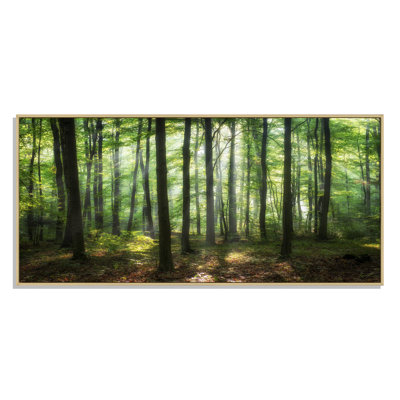 «Sunny Morning Magic Forest IV» - photographie sur toile