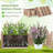 1 PCS Natural Acacia Wood Rectangular Planter Box with Liner, Drainage, Indoor Outdoor Beige-755617218