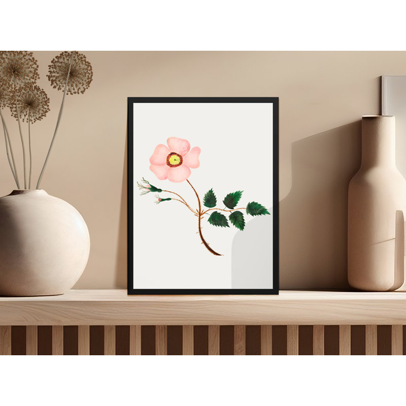 Kane No Frame Print, 24x32