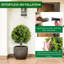 Plant-422154834