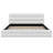 Modern Platform Bed with Upholstered Design-1563051646