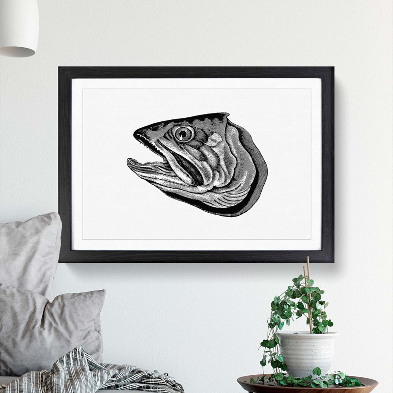 Fish Head Illustration in Black & White - Picture Frame Drawing Print, 27cm H x 36cm W x 2cm D, Black Framed