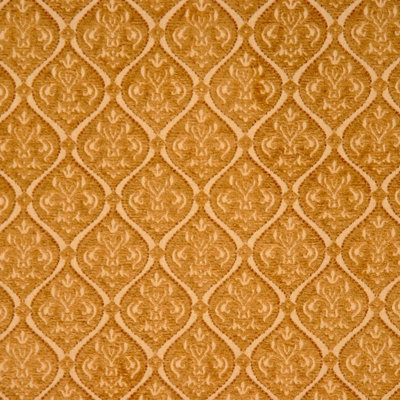 Allure Fabric