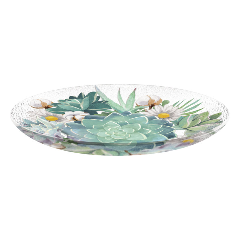 Bain d’oiseaux plantes grasses récoltes