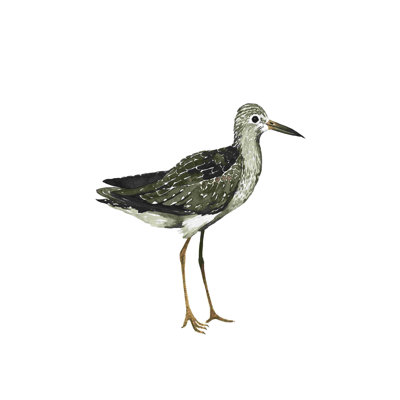 Oiseau de mer III