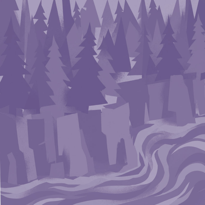 Rideaux de douche Pine River, L 70 po x H 72 po, Mauve moyen Mauve moyen