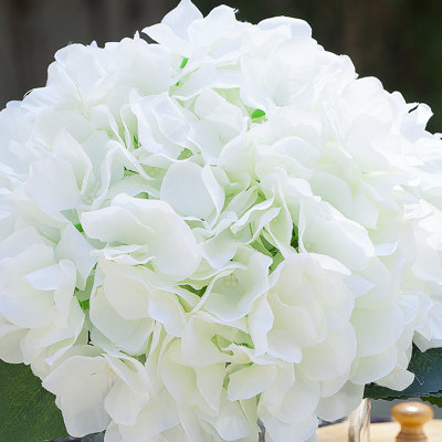 Hortensias en vase