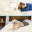 PET - B3022C Nylon rafraîchissant-95187680-95187683