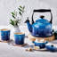 Le Creuset Traditional Kettle with Fixed Whistle 2.1L-2031676557