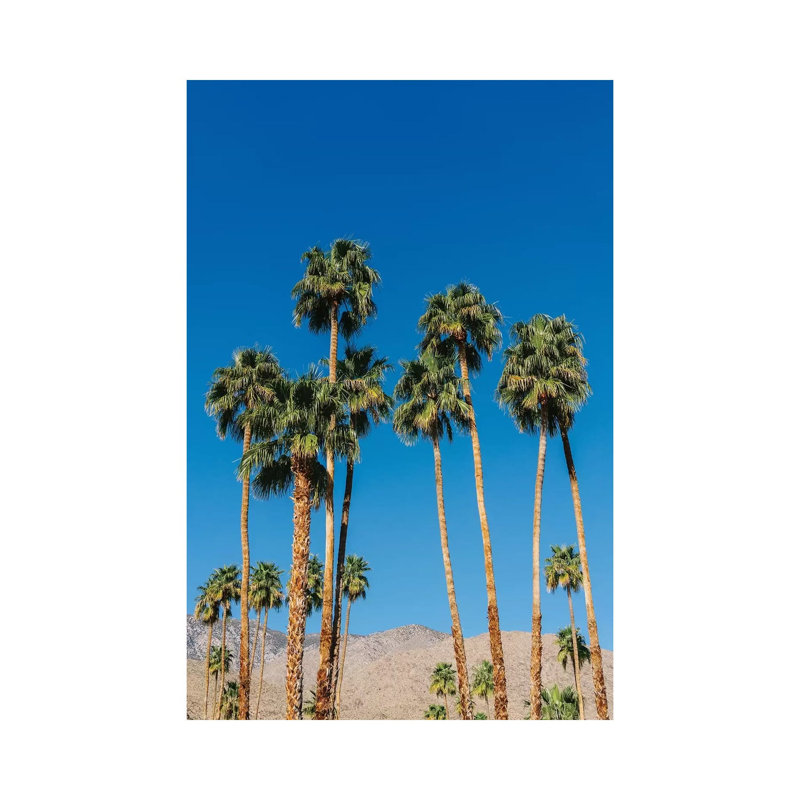 Palm Springs Palms IV by Bethany Young - Wrapped Canvas Print, 66.04cm H x 45.72cm W x 3.81cm D