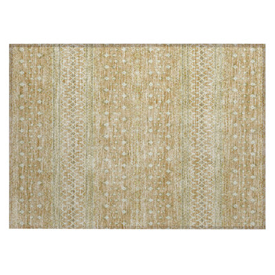  Bhavya Area Rug
