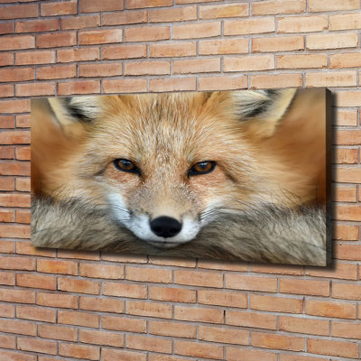 Fox - Wrapped Canvas Print
