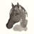 Araldo " Horse Portrait II " by Chris Paschke-2047260287-2047260286-2061964562