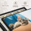 «Cat Doctor»-100705771