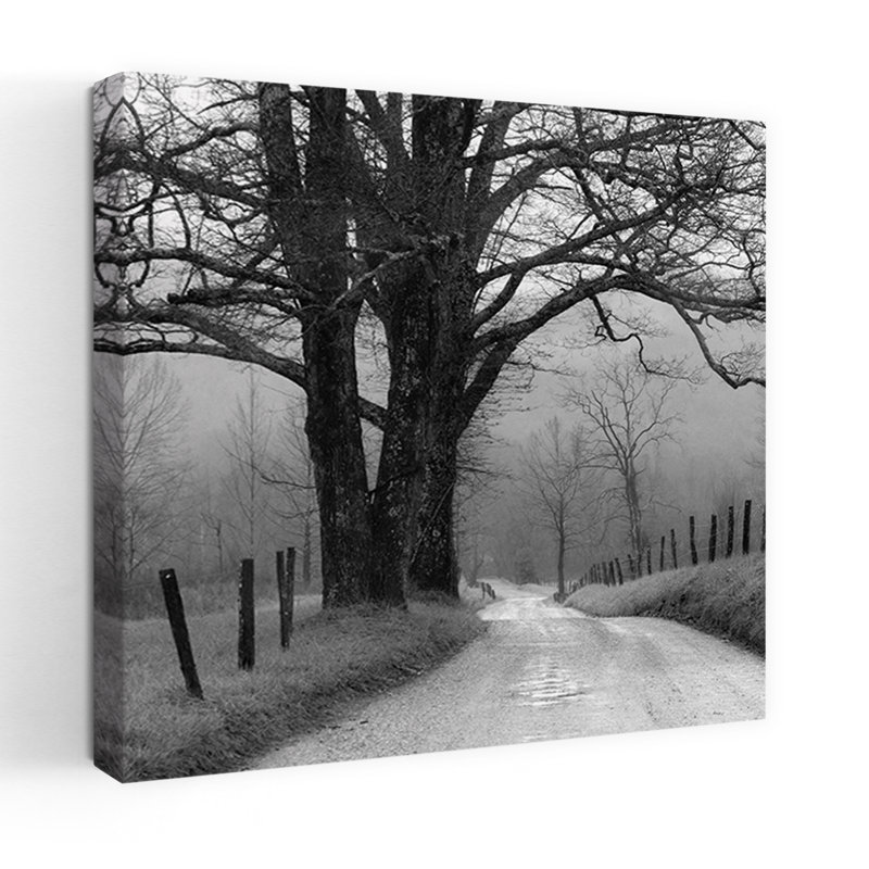 Sparks Lane, paysage abstrait contemporain, art naturel, H 36 po x l 36 po