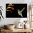 Hummingbird On Black-107706834