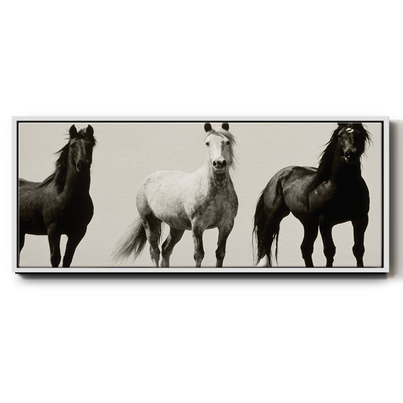 Wild Stallions- Framed Canvas, 24" H x 60" W
