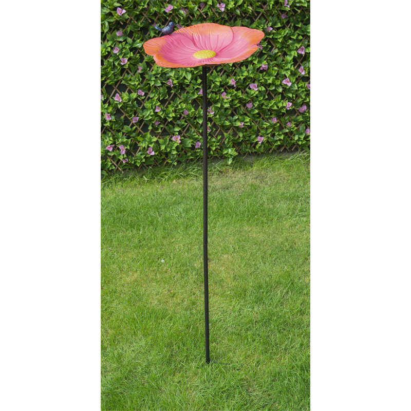 Meranda Metal Single Tier Birdbath