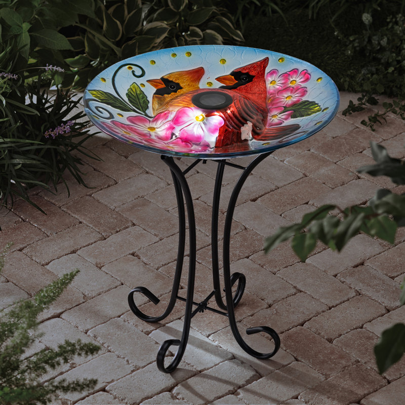 Solar Cardinal Bird Bath