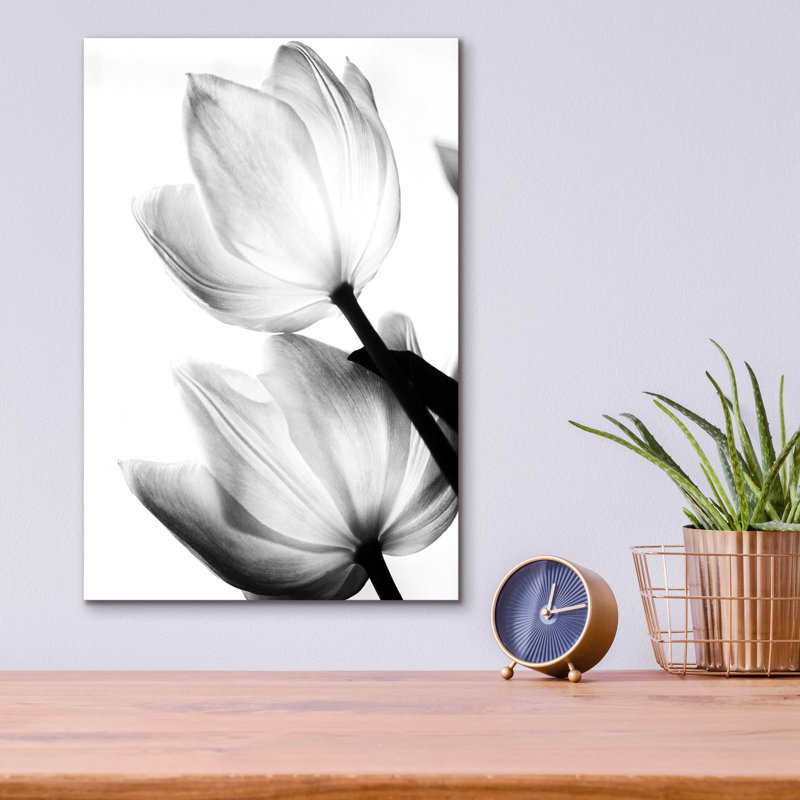 Tulipes translucides II par Debra Van Swearingen - photographie sans cadre, H 16 po x l 12 po x P 0,13 po