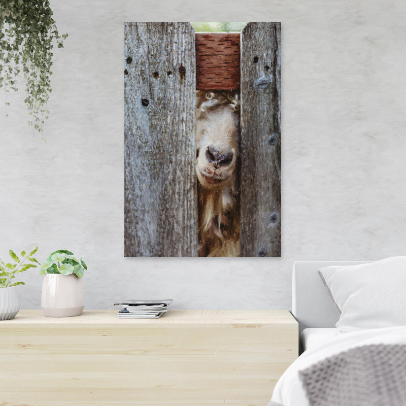 Chèvre brune 4 - 1 pièce, impression sur toile tendue, H 20 po x l 16 po